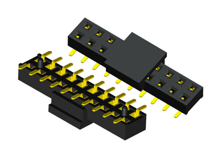 검정 20 Pin 모자를 가진 여성 우두머리 연결관 두 배 줄 2.0mm 피치